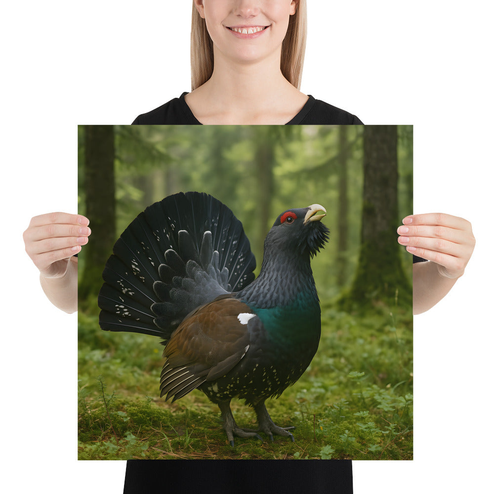 „Auerhahn Poster in hochwertiger Druckqualität auf Premium Papier“