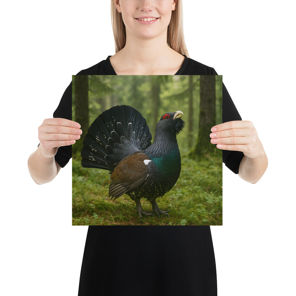 „Auerhahn Wandbild als hochwertiges Tierposter“