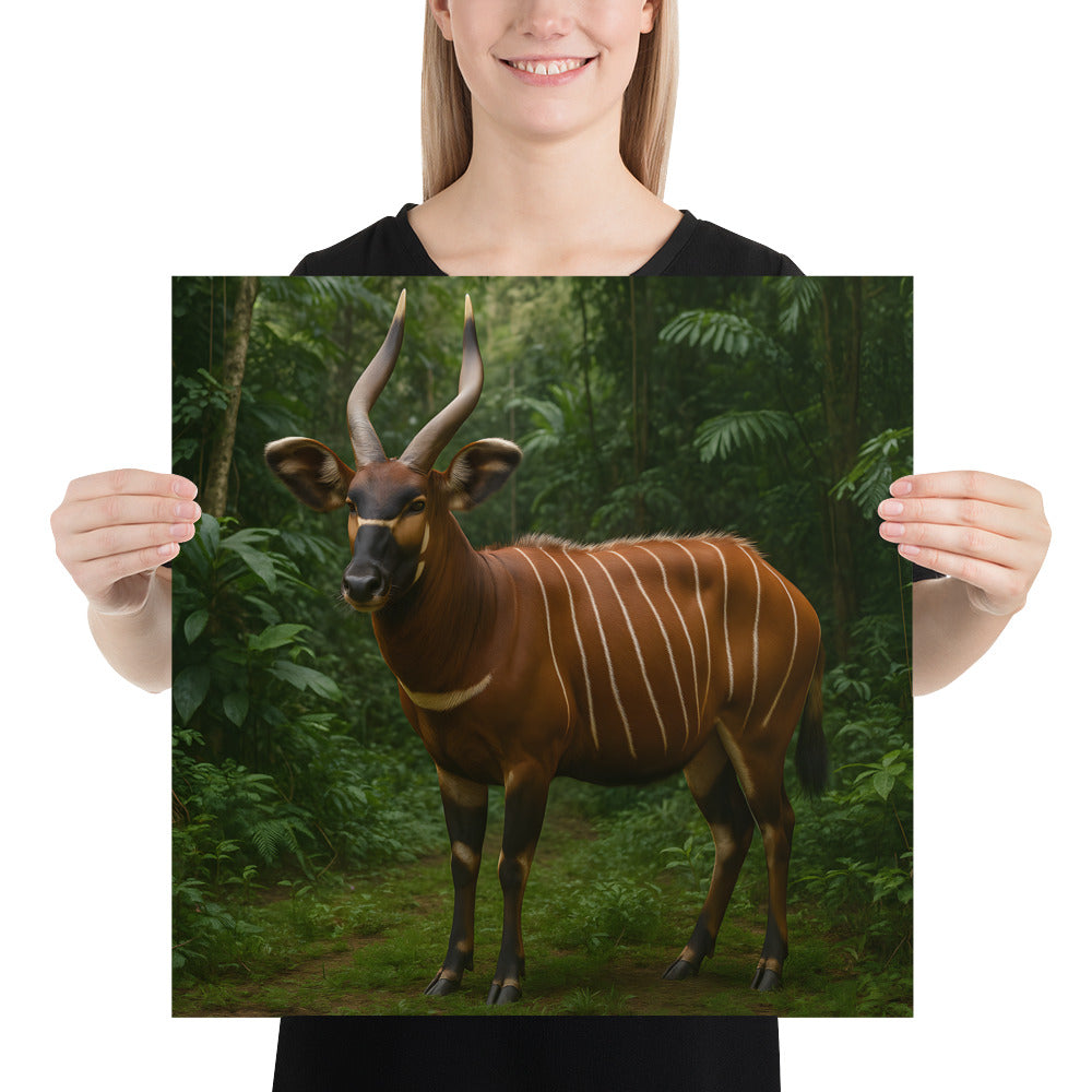 Bongo Antilope Wandkunst – afrikanisches Tier Poster in modernem Rahmen