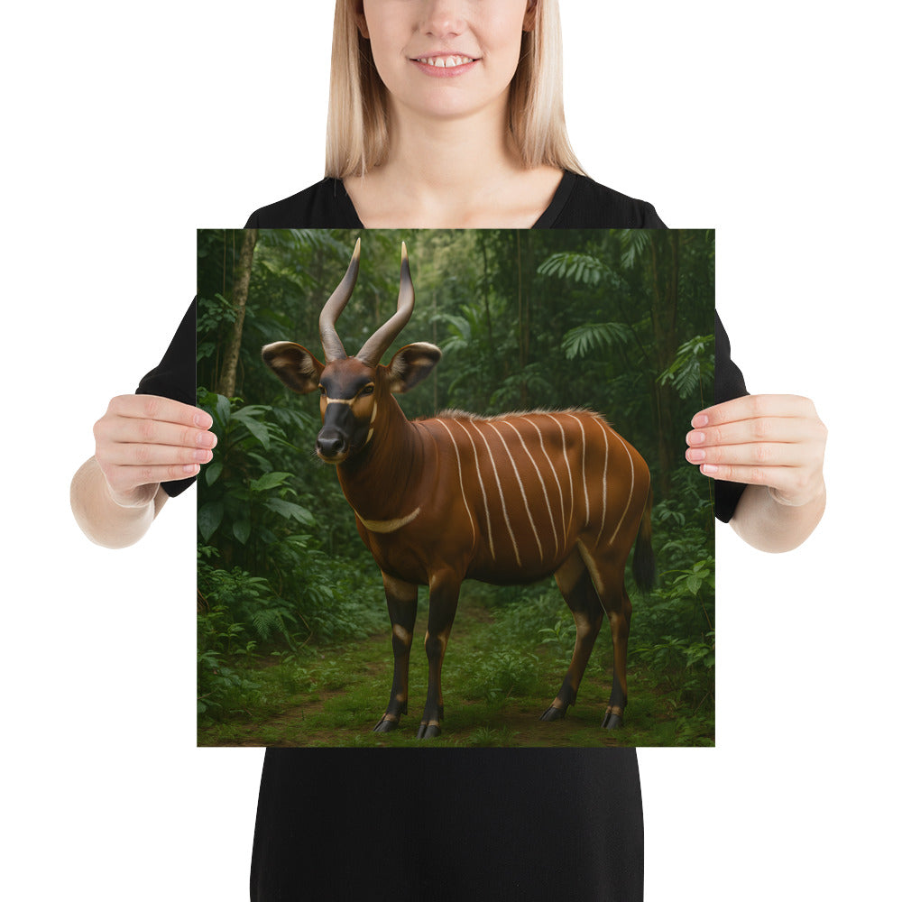 Bongo Tier Poster – afrikanische Antilope Wandbild auf Premium-Papier