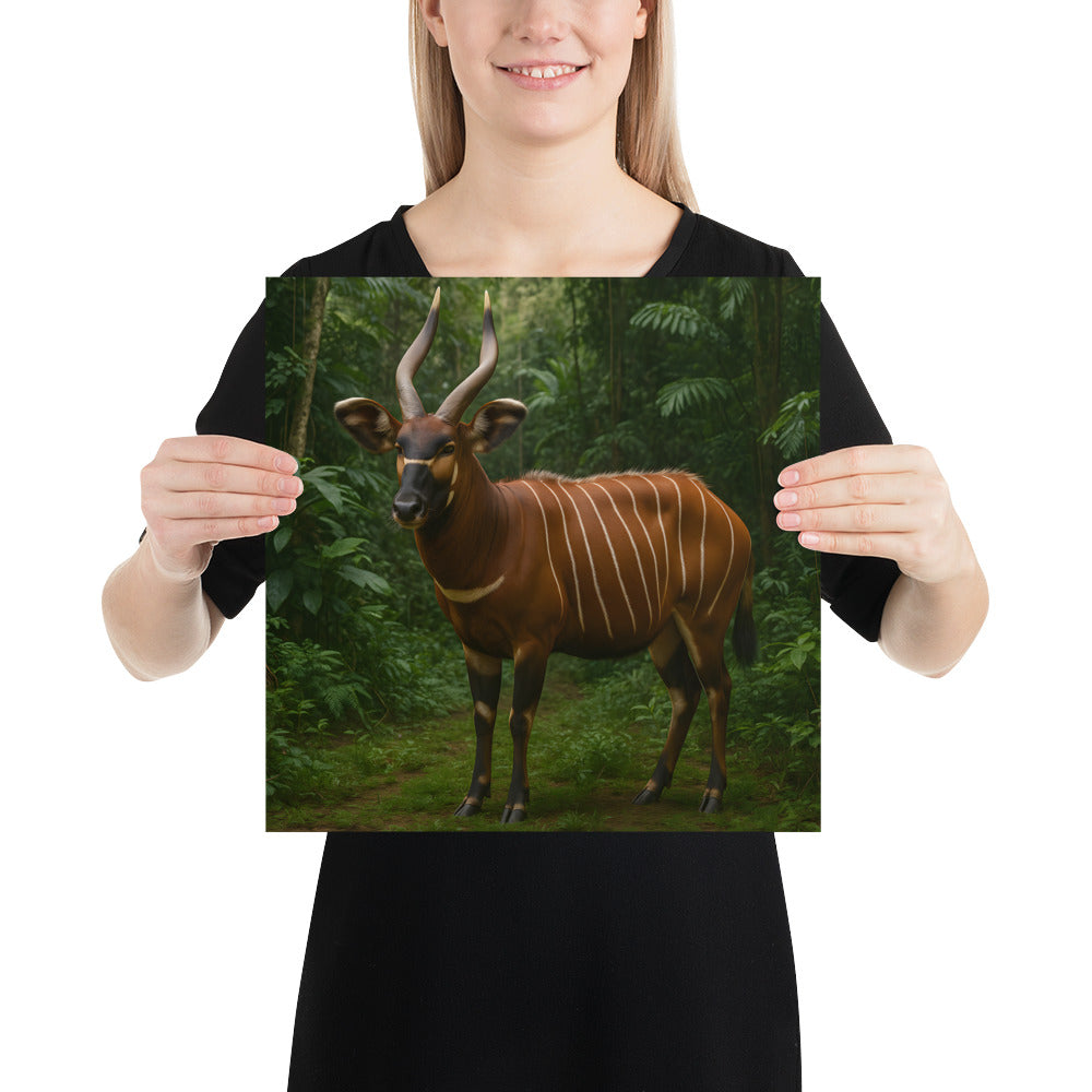 Detailansicht Bongo Tiermotiv Kunstdruck – naturgetreue Farben und Textur