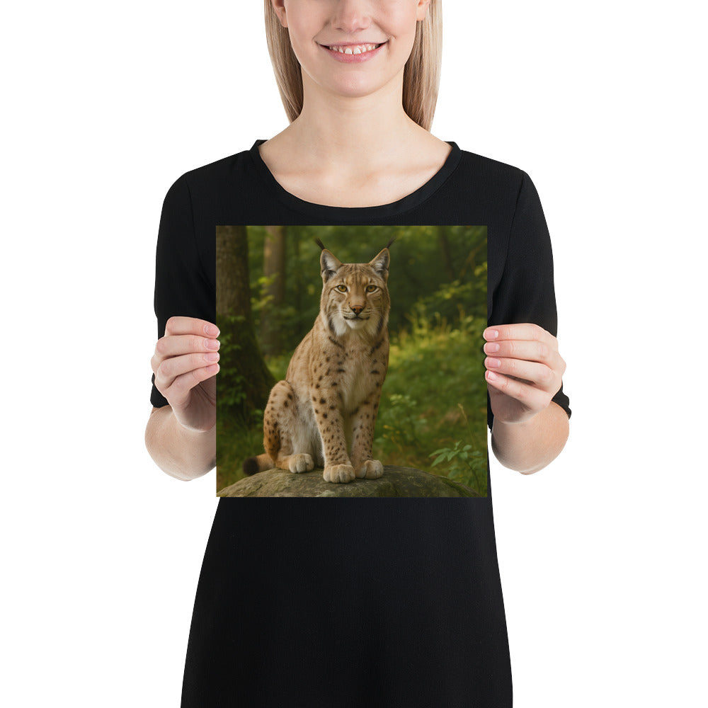 Detailansicht Luchs Kunstdruck auf Premiumpapier