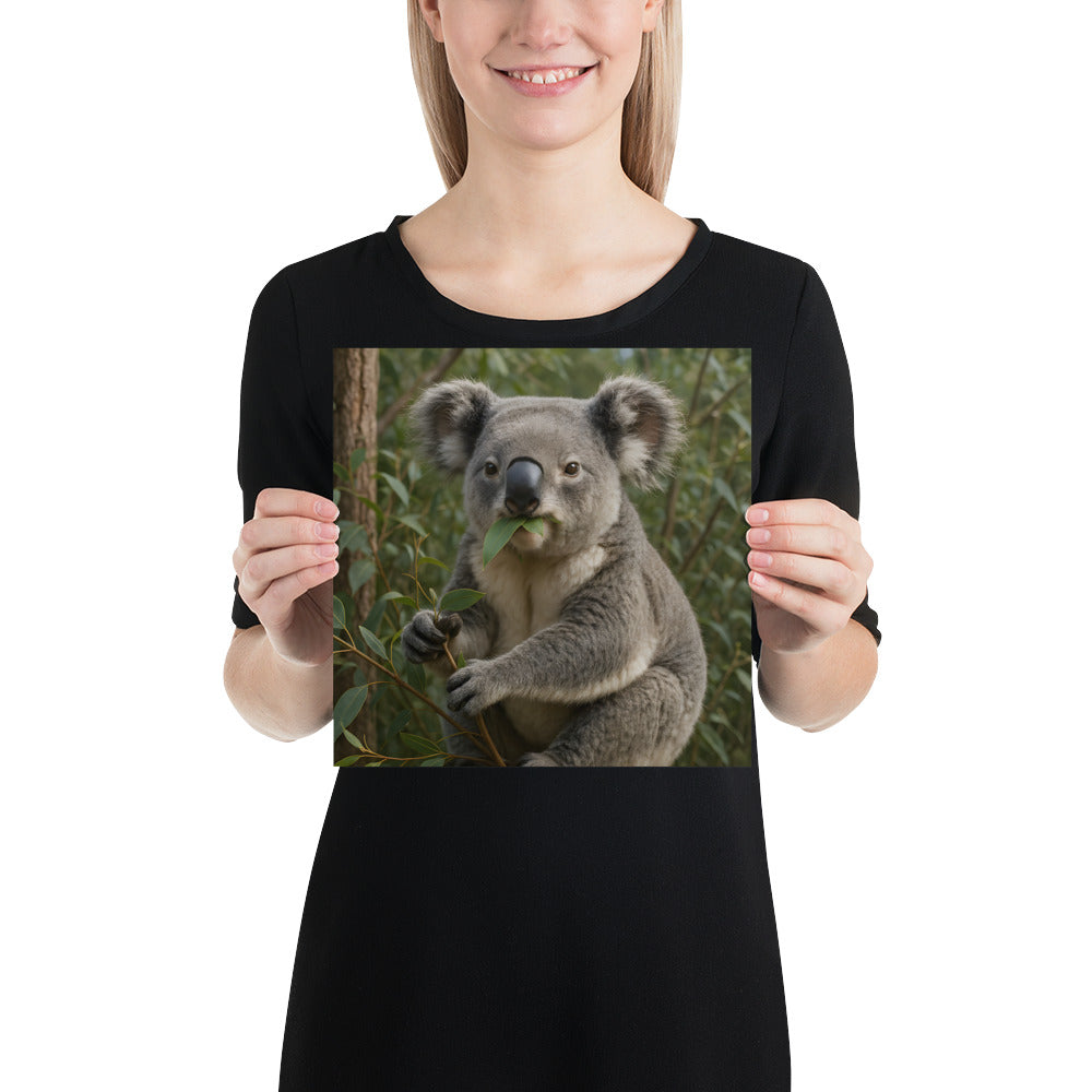 Detailansicht des Koala Tiermotivs auf 189 g/m² Fotopapier