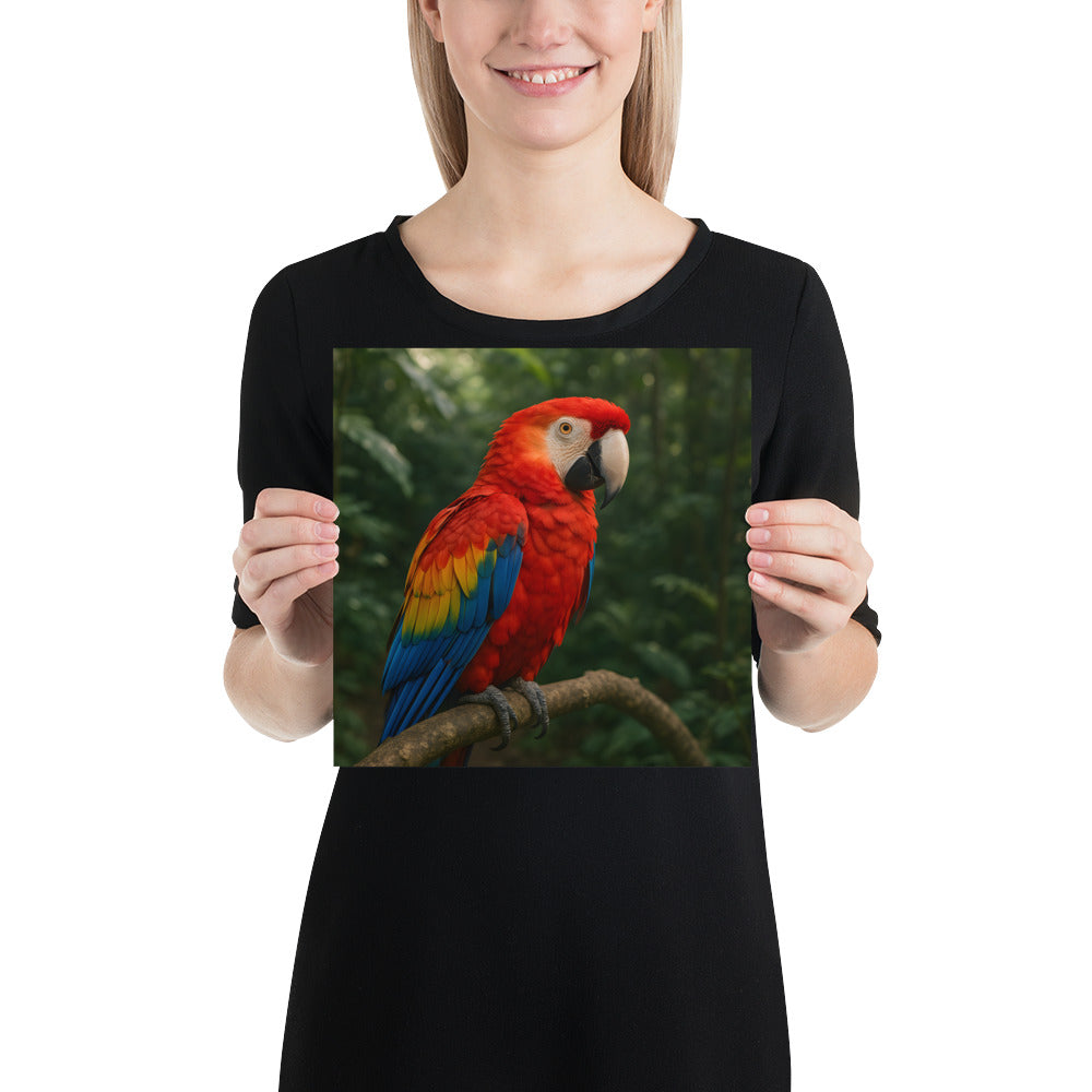 Detailansicht des Scharlachara Kunstdrucks auf hochwertigem 189 g/m² Fotopapier