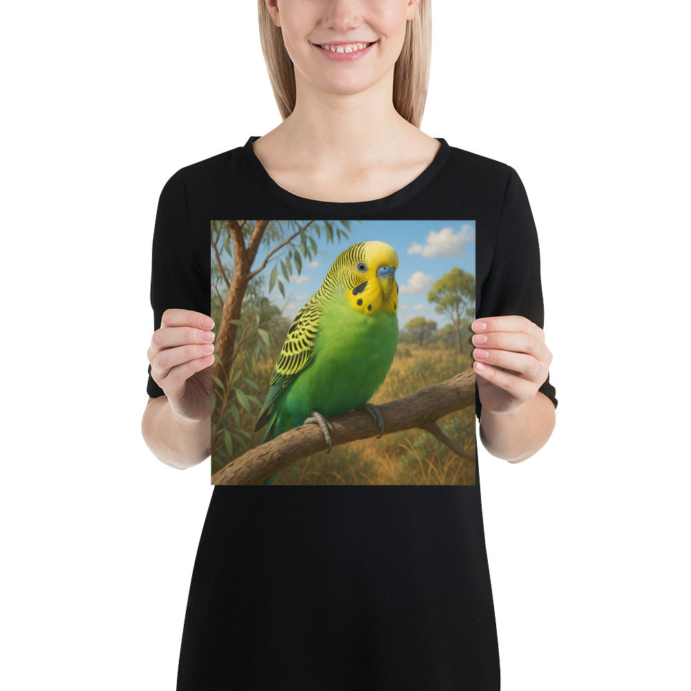 Detailansicht des Wellensittich Kunstdrucks auf 10,3-mil starkem Fotopapier