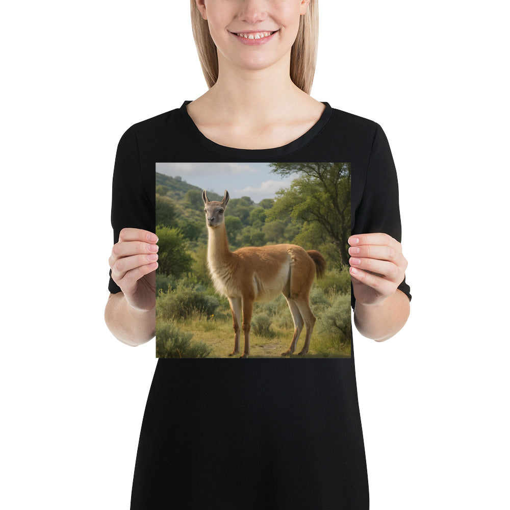 "Detailaufnahme Guanakomotiv – Tierkunst Wandbild"