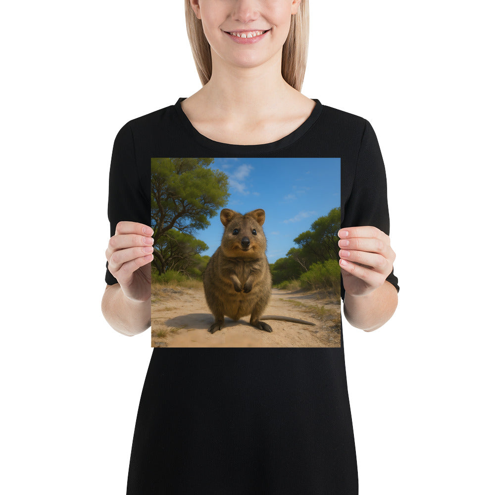 Detailaufnahme des Quokka-Posters – Premiumpapier 10,3 mil und 189 g/m²