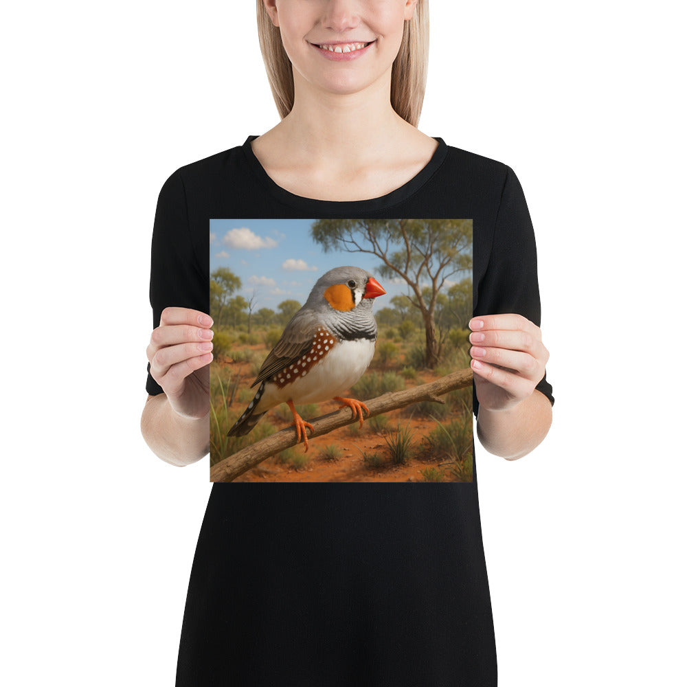 Detailaufnahme des Zebrafink Posters mit feiner Papierstruktur und klaren Farben