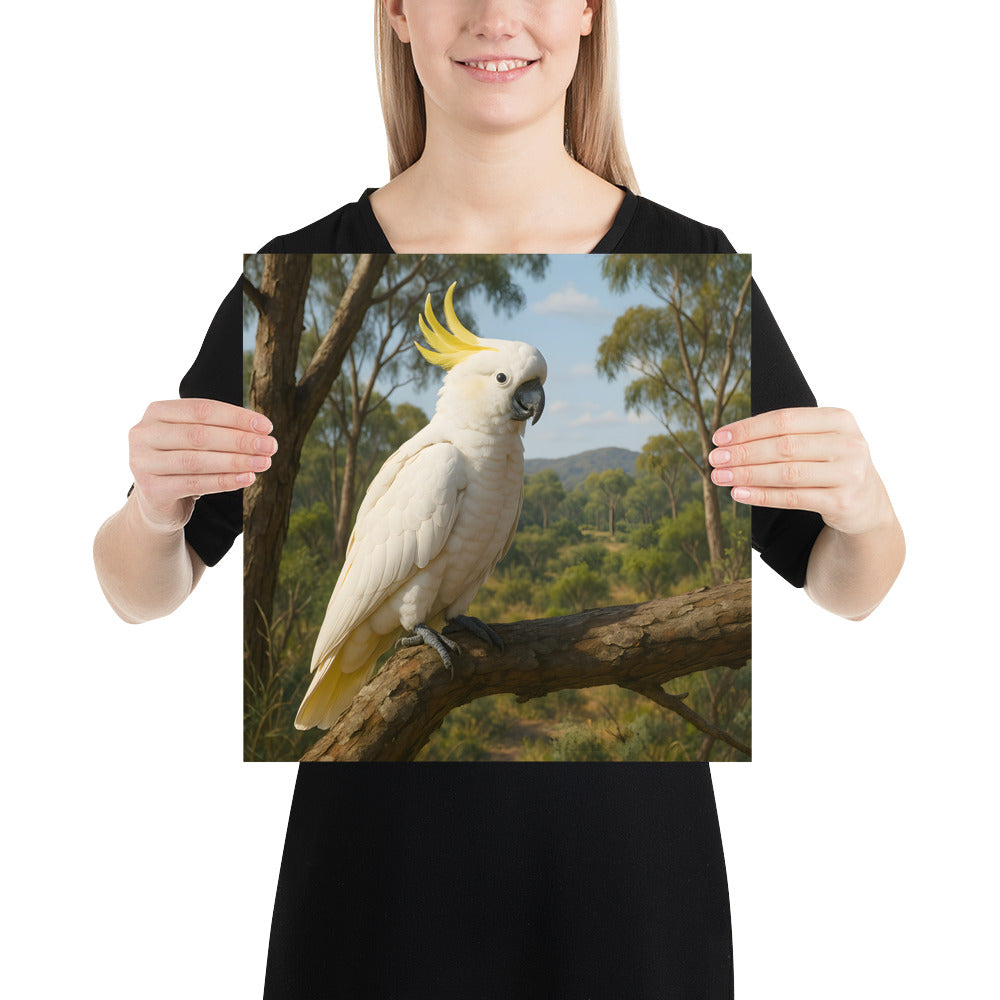 Farbenprächtiges Kakadu-Poster auf japanischem Qualitätsrohmaterial