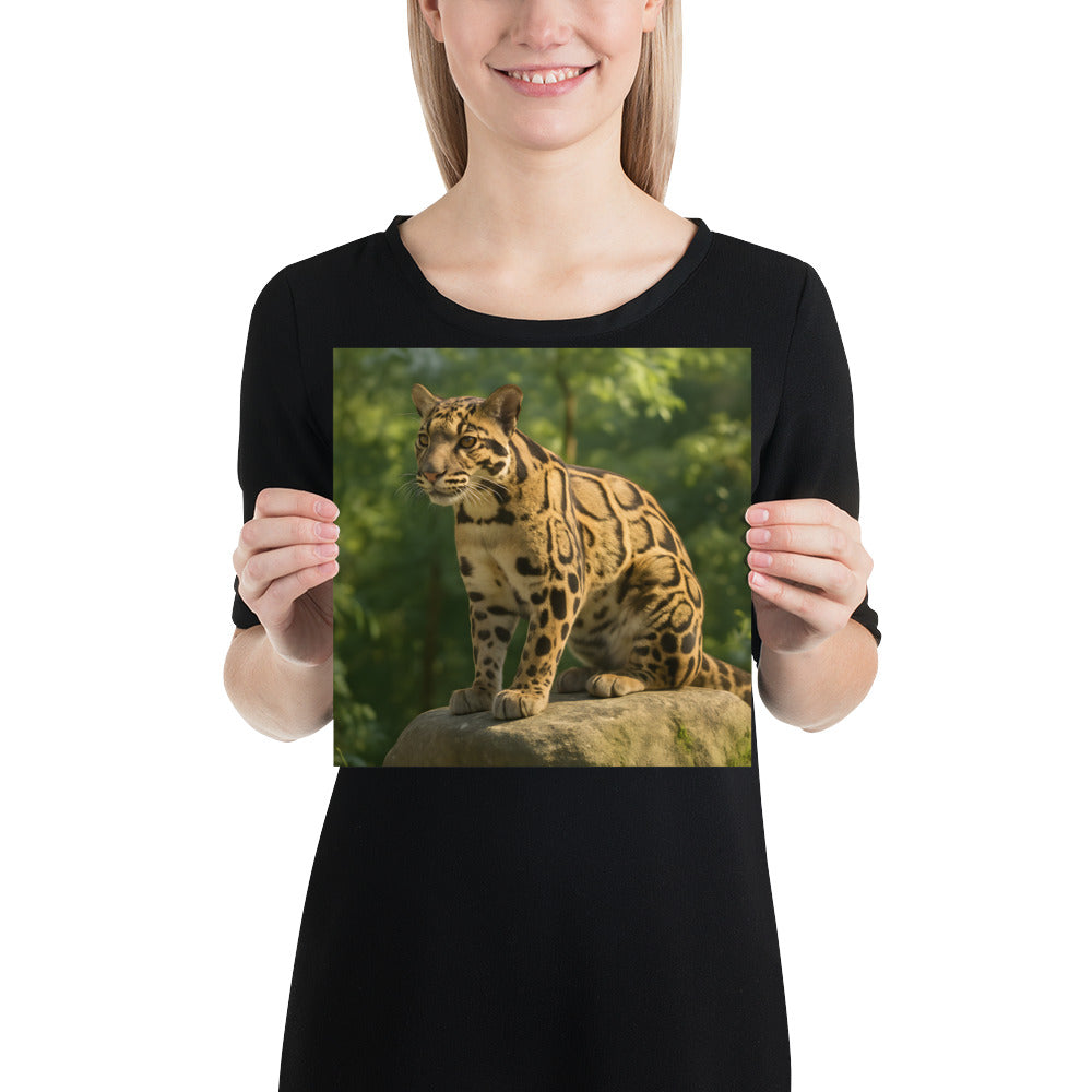 Fotoposter der Pader im Morgennebel – Premium Wanddekoration