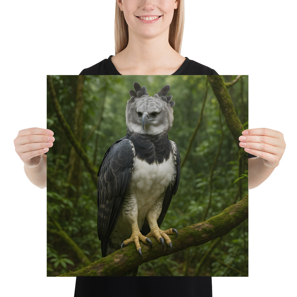 Harpyienvogel Illustration als hochwertiger Kunstdruck auf starkem Posterpapier