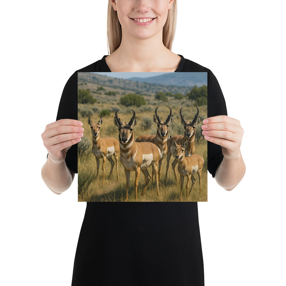 Hochwertiger Kunstdruck eines Gabelbocks als Wanddekoration