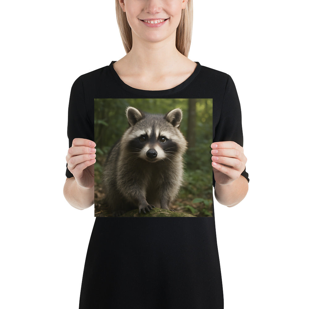 „Hochwertiger Waschbärdruck als Wandposter“