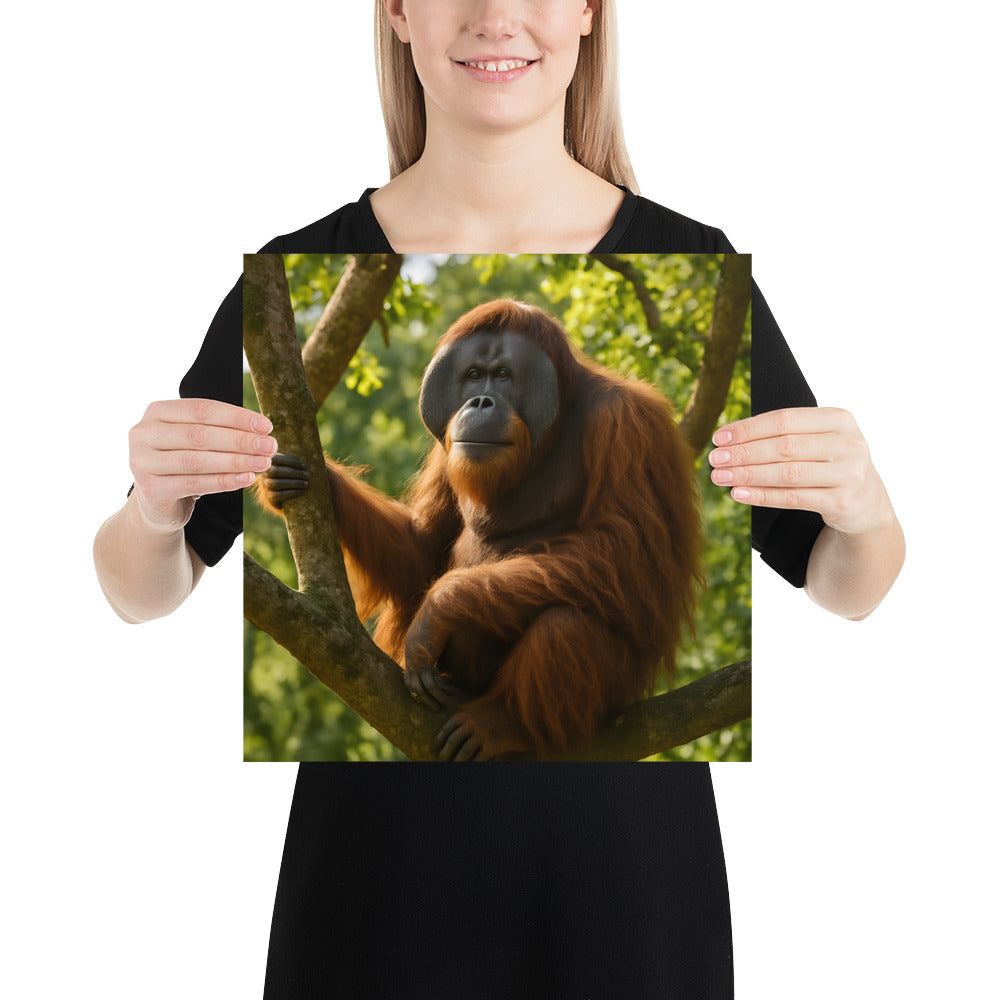 Hochwertiges Orang-Utan Poster auf Premiumpapier – Nahaufnahme des Motivs