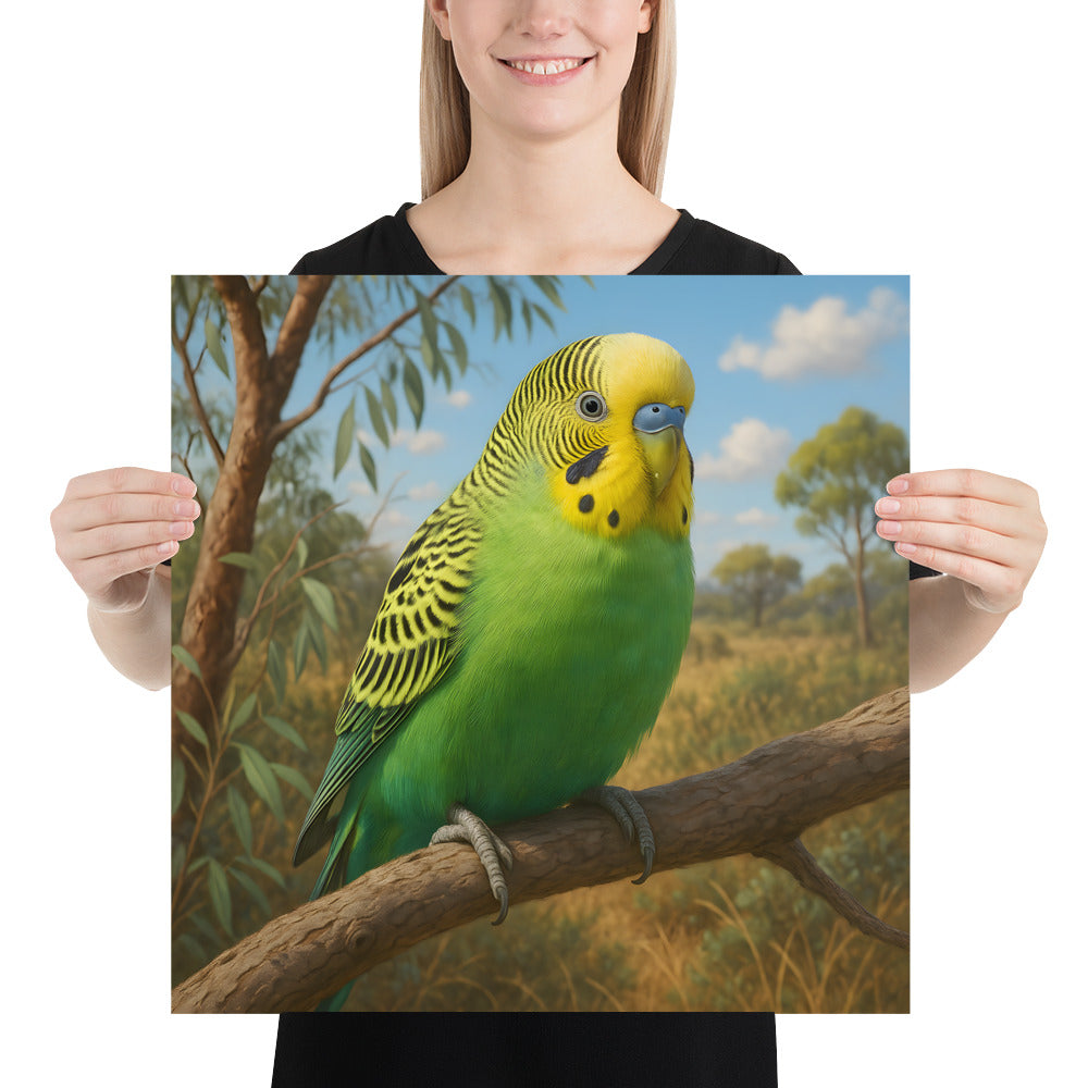 Hochwertiges Poster mit farbenfrohem Wellensittich auf Premium-Fotopapier