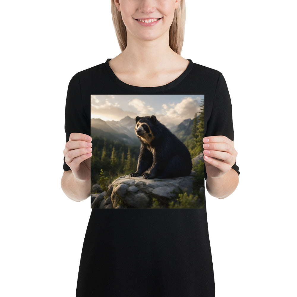 Hochwertiges Wildlife Poster mit Brillenbär für stilvolle Wandgestaltung