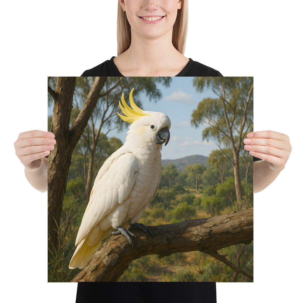 Kakadu-Poster als hochwertiger Kunstdruck auf Premiumpapier