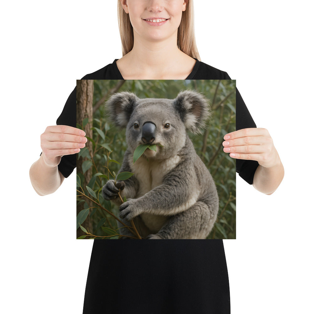 Koala Kunstdruck mit natürlichen Farben und klaren Details