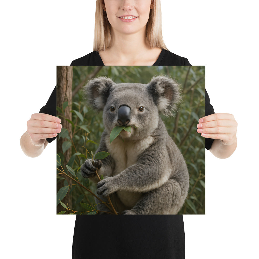 Koala Poster – hochwertige Premiumpapier-Oberfläche aus Japan