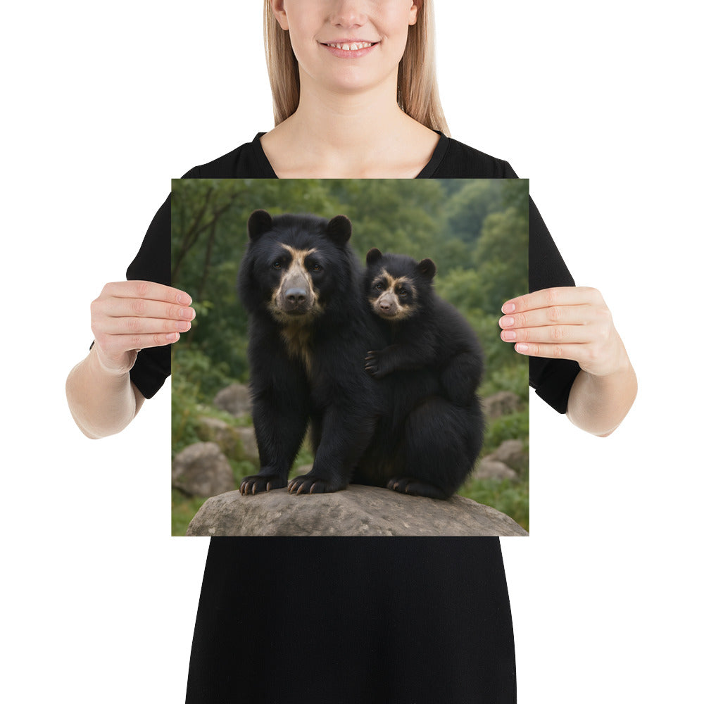 Kunstdruck Brillenbär für Wohnzimmer – hochwertiges Tierposter