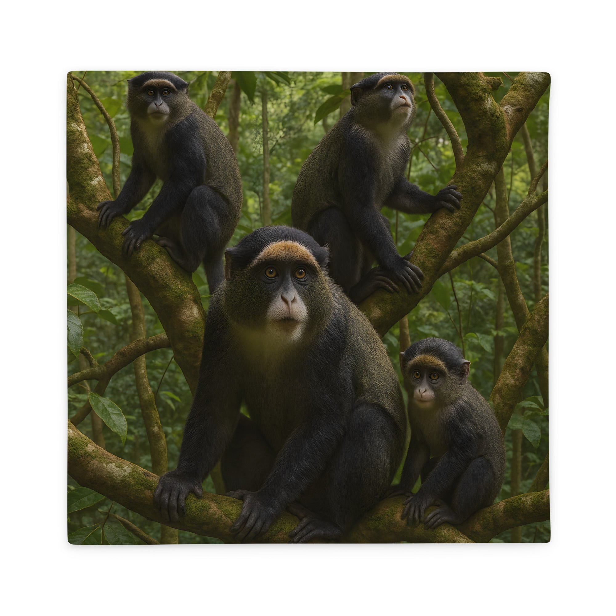 Maschinenwaschbarer Meerkatzen Kissenbezug aus 100 Prozent Polyester