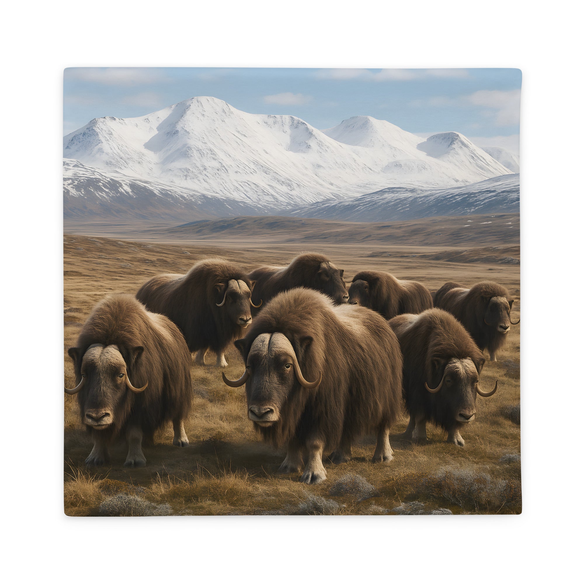 Moschusochsen Kissenbezug Vorderseite – hochwertiger Polyesterbezug