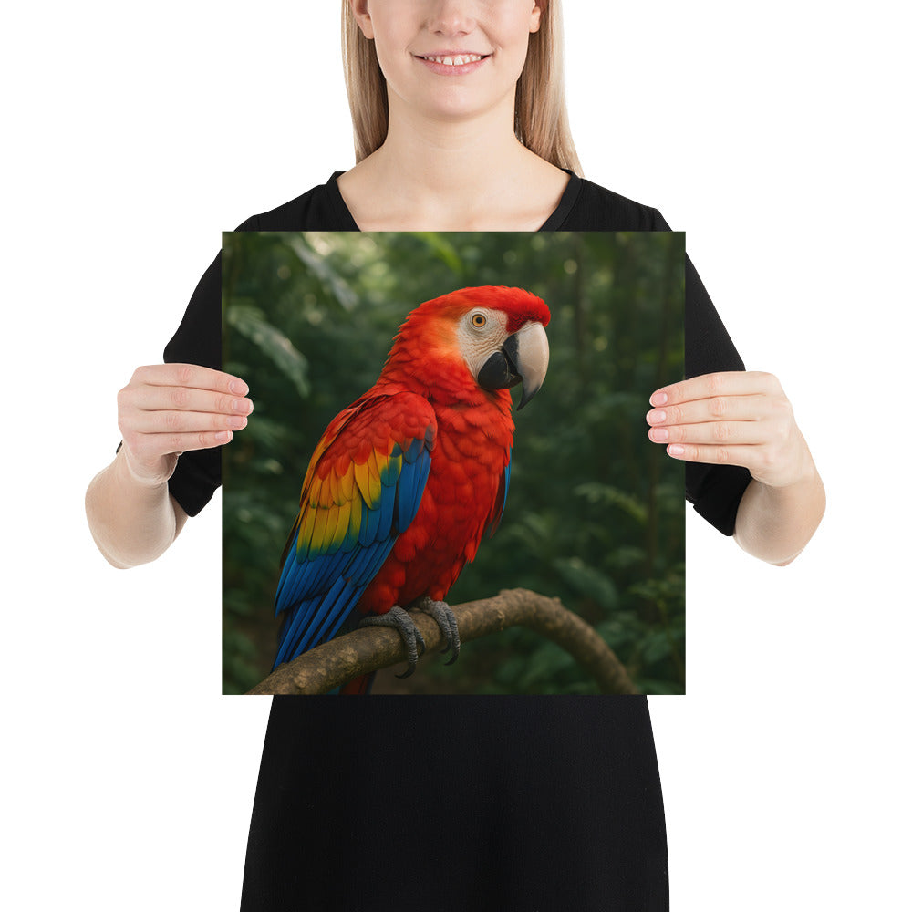 Nahaufnahme der Farbdetails des Scharlachara Posters auf japanischem Papier