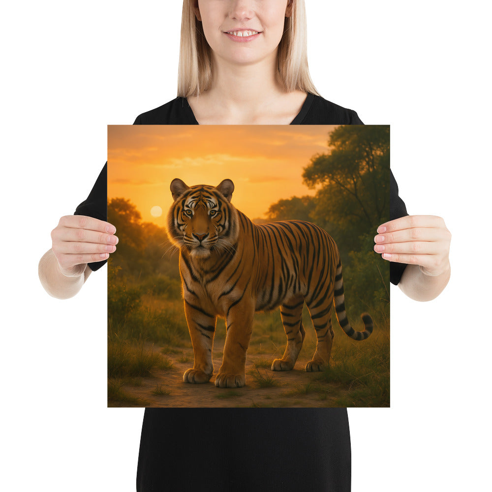 Nahaufnahme des Tiger-Motivs auf lichtundurchlässigem Posterpapier