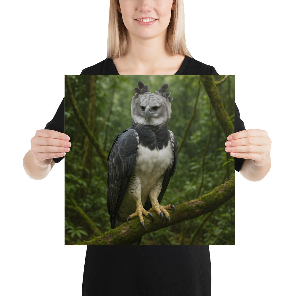 Naturgetreue Greifvogel-Illustration – Harpyienvogel Poster für Wanddekoration