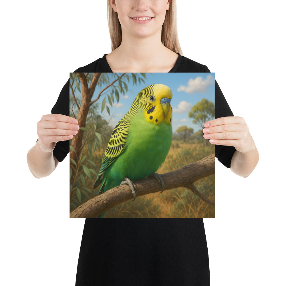 Naturmotiv Wellensittich Poster als dekorative Wandkunst für Zuhause