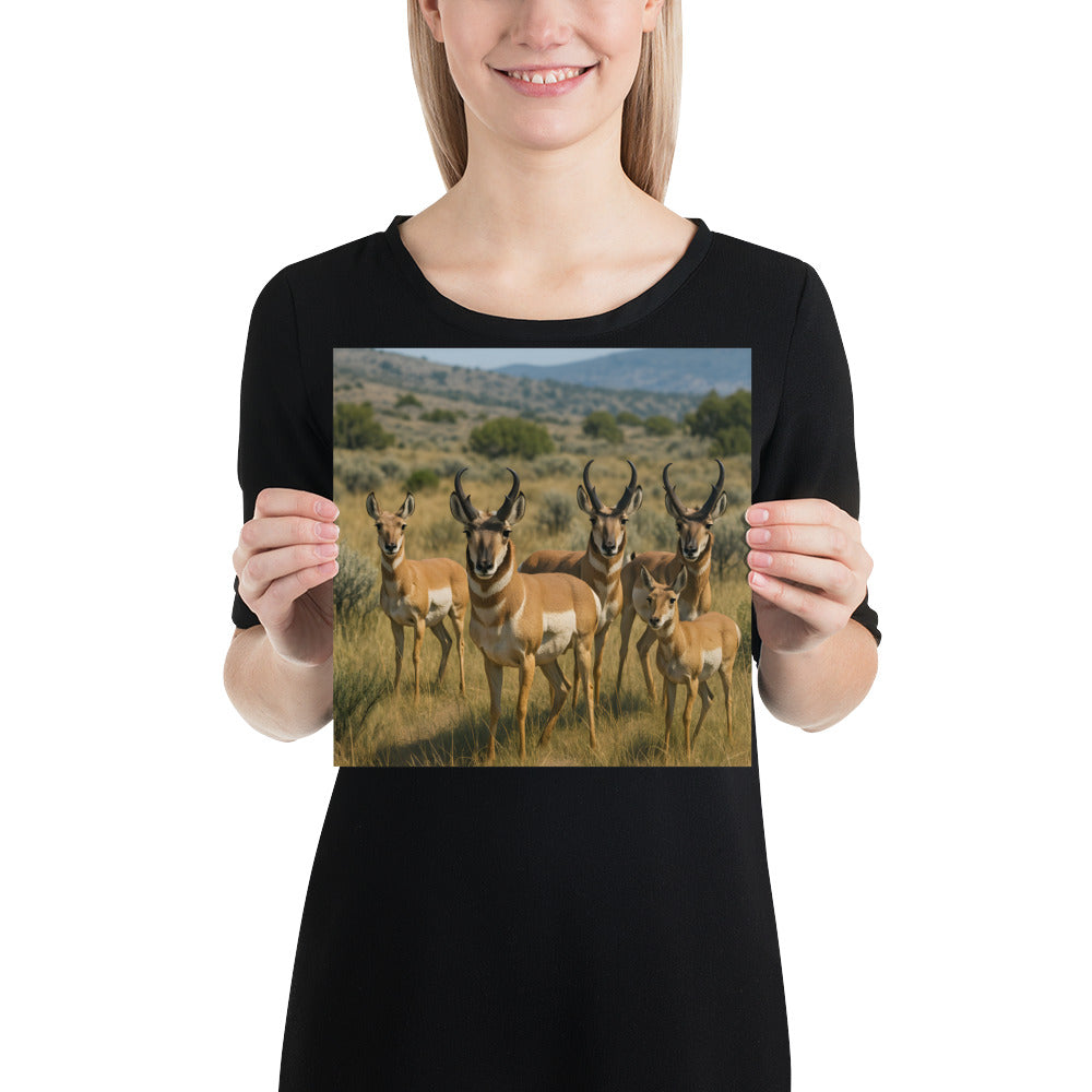 Naturposter mit Gabelbock im Wildlife-Stil