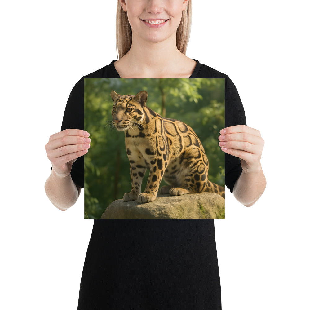 Naturposter mit nebliger Pader-Landschaft auf 189 g/m² Papier