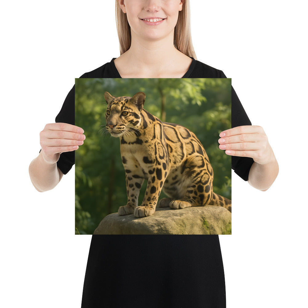 Nebel-Pader Poster mit nebliger Flusslandschaft als hochwertiger Fine-Art Druck