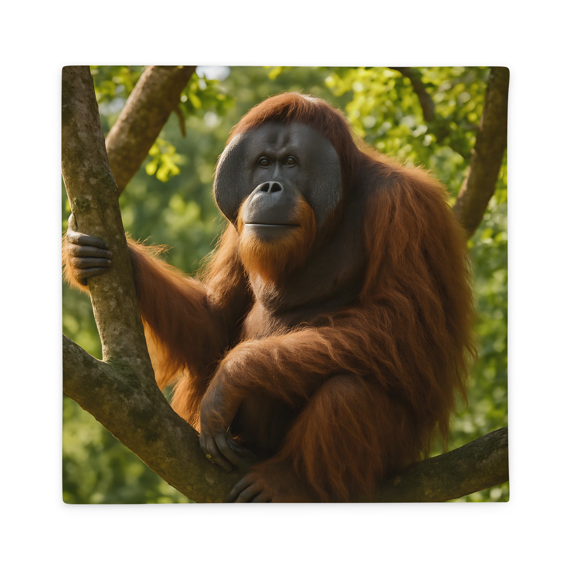 Orang-Utan Kissenbezug aus Polyester in Nahaufnahme