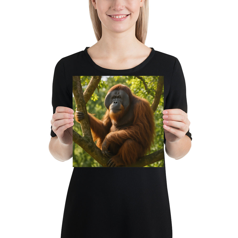 Orang-Utan Kunstdruck in modernem Wohnzimmer an der Wand