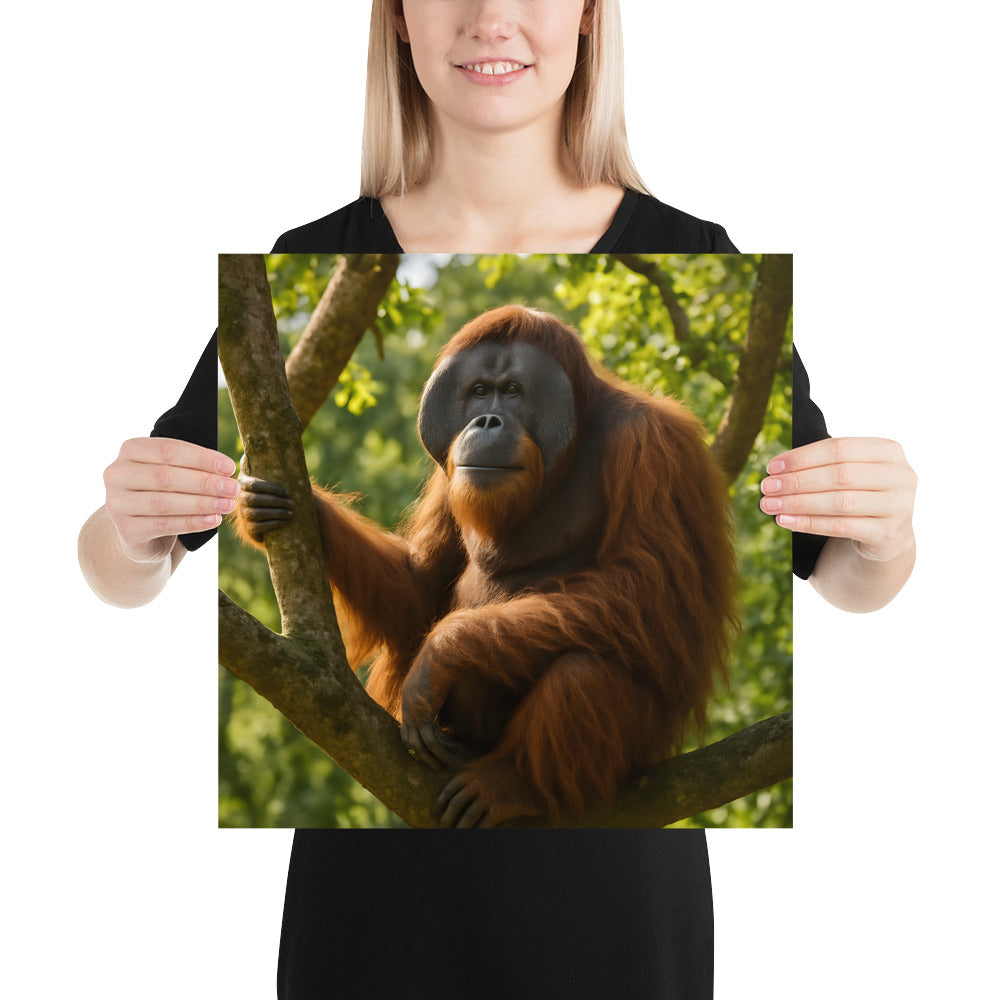 Orang-Utan Poster mit kräftigen Farben auf 189 g/m² Papier