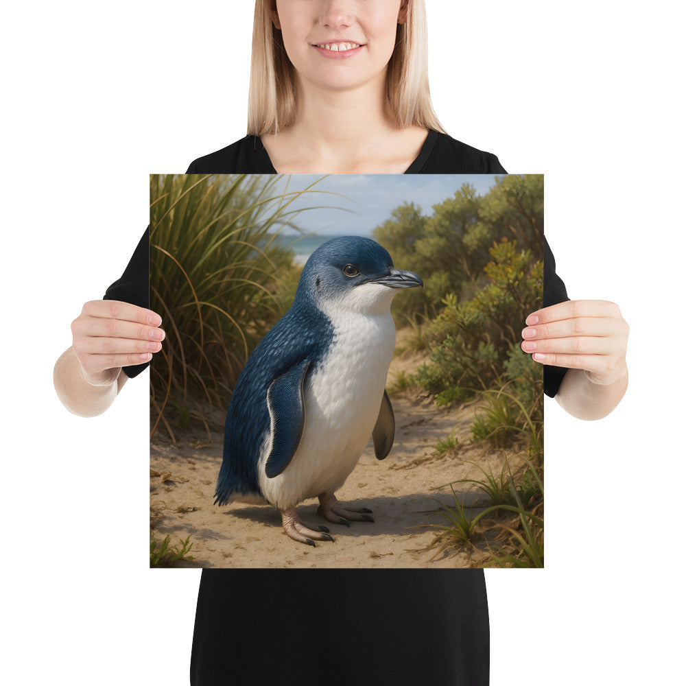 Poster mit Zwergpinguin für Wohnzimmer, Büro oder Kinderzimmer