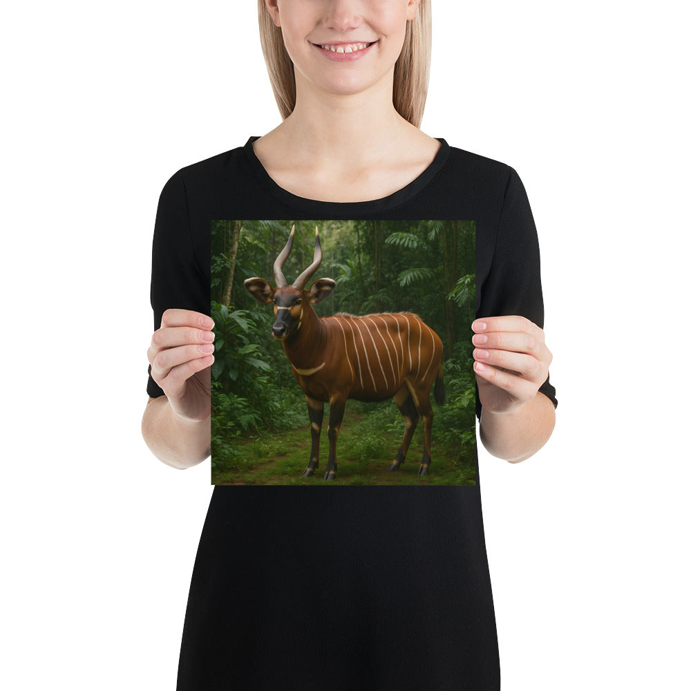 Premium-Kunstdruck Papier 189 g/m² aus Japan – Bongo Motiv Poster