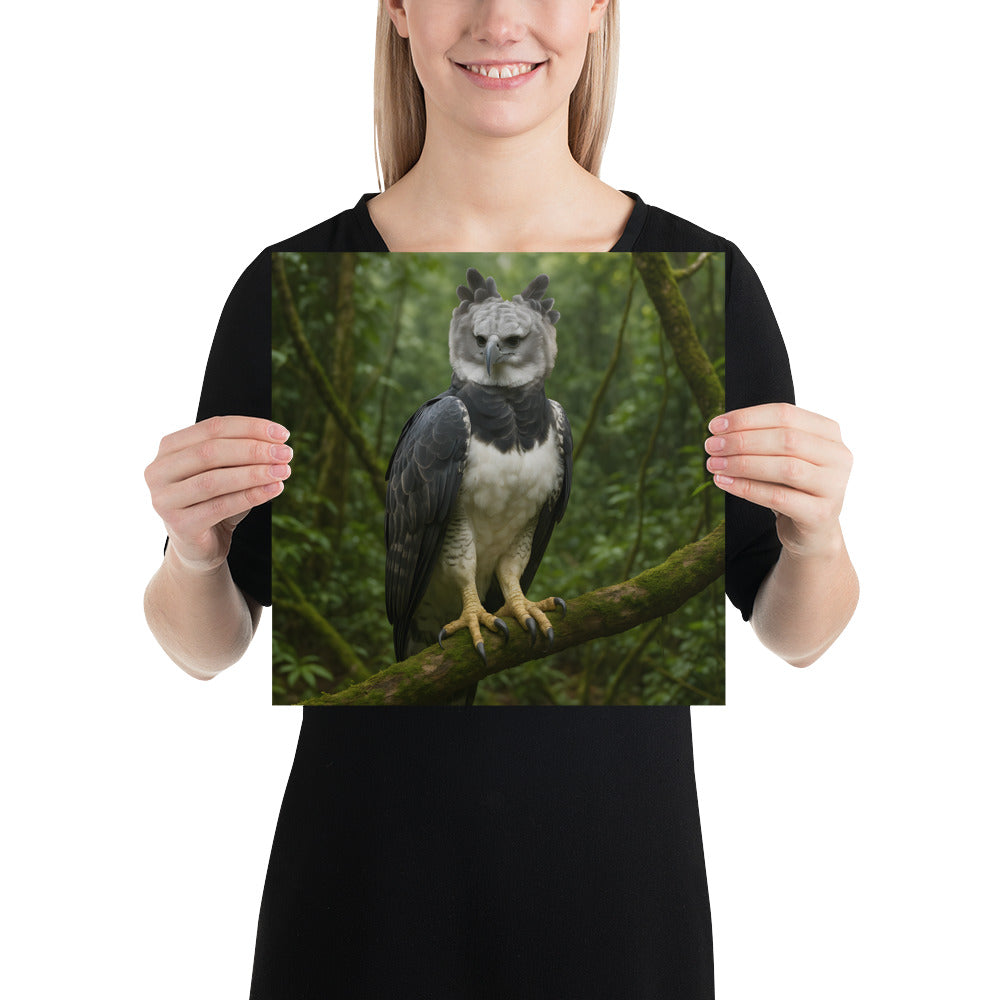 Raubvogel Harpyie – künstlerisches Wandposter mit naturgetreuer Darstellung