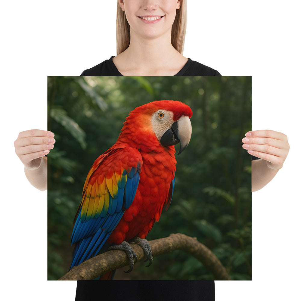 Scharlachara Poster – Feuer-Vogel Illustration in leuchtenden Farben auf Premiumpapier