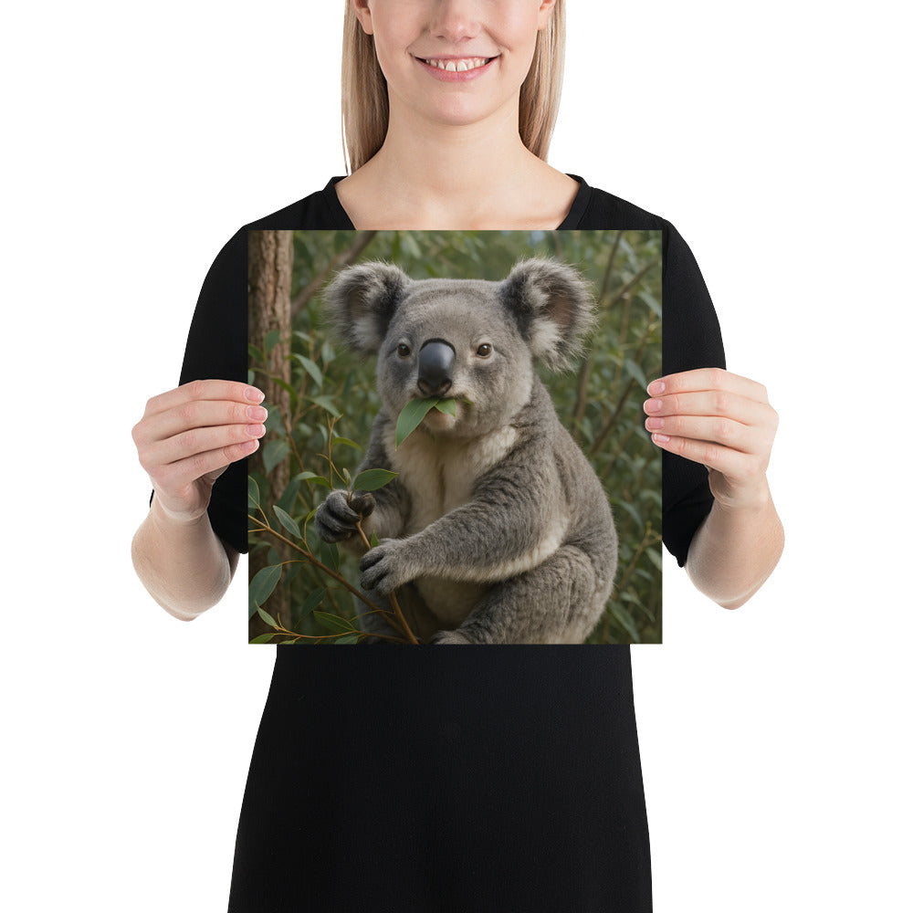 Wanddeko Koala Poster im modernen Wohnraum
