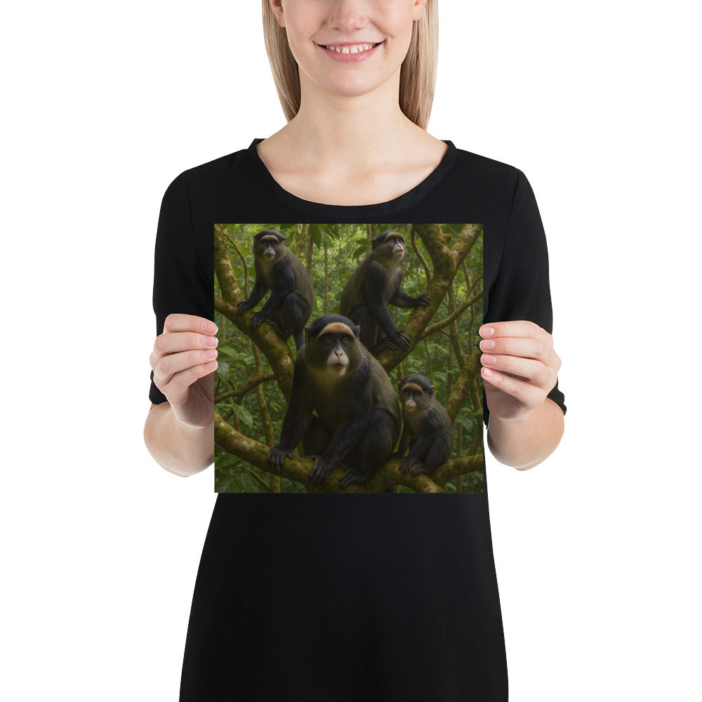 Wanddekoration mit Meerkatzen Poster im modernen Wohnzimmerambiente