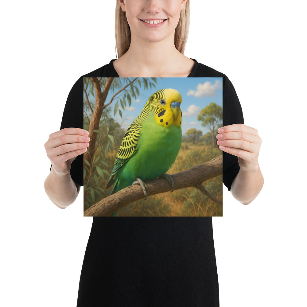 Wellensittich Wandposter auf 189-g/m² Papier – brillante Farben und klare Details