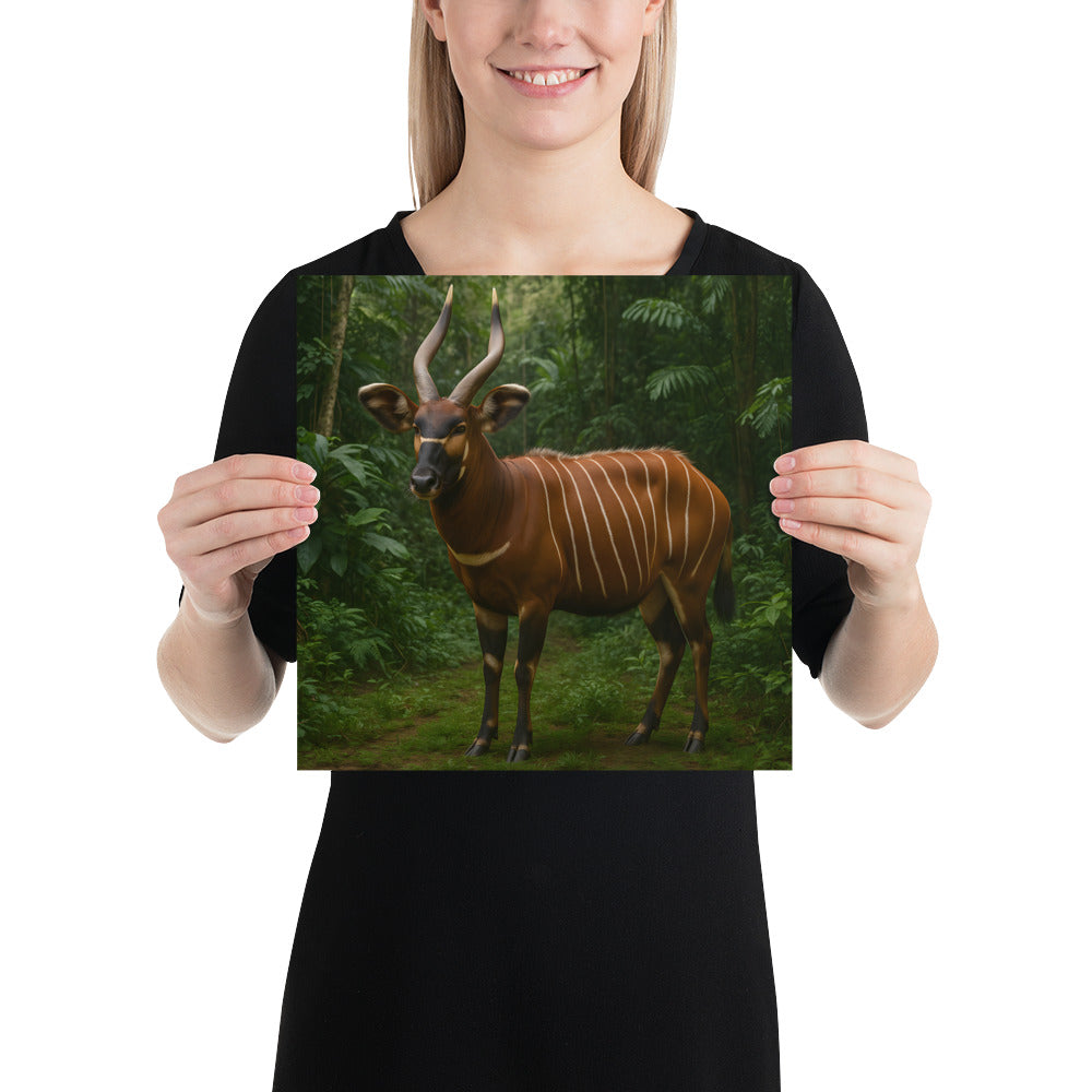 Wohnzimmer-Dekoration mit Bongo Poster im Naturstil