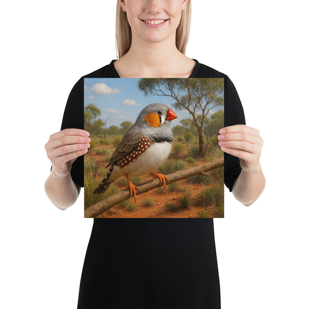 Zebrafink Wandposter auf 189 g/m² Papier – natürliche Vogelillustration