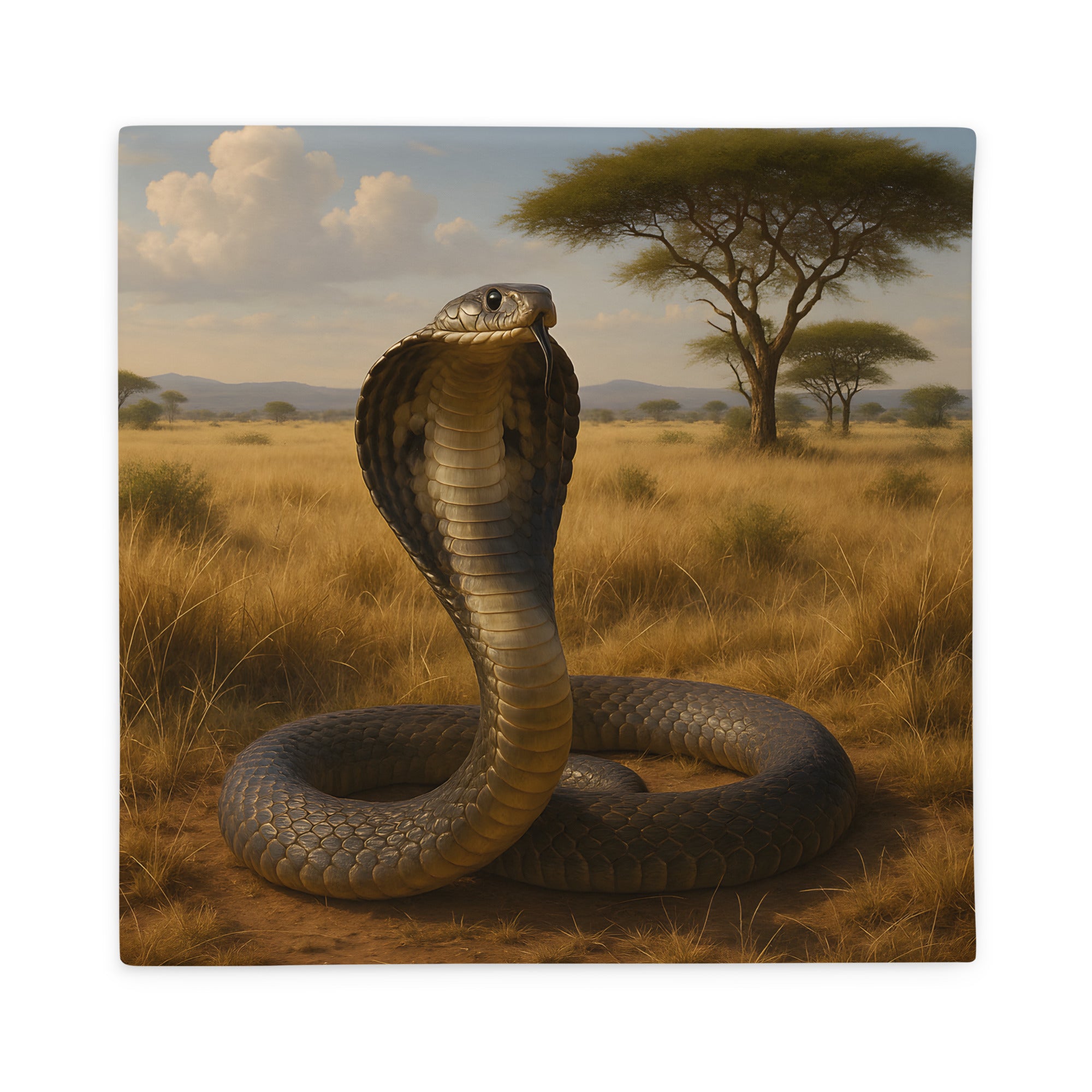 Detailansicht des verdeckten Reißverschlusses am Kobrakissenbezug aus Polyester